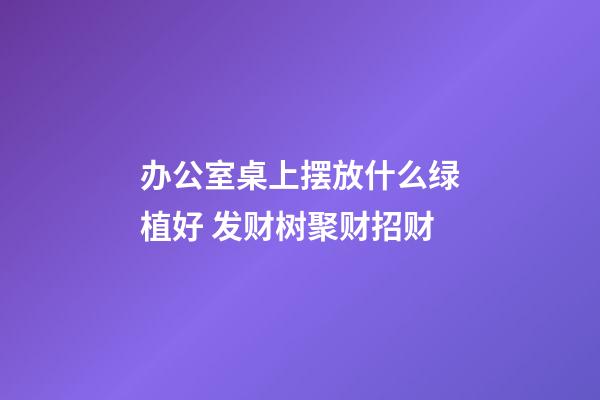 办公室桌上摆放什么绿植好 发财树聚财招财